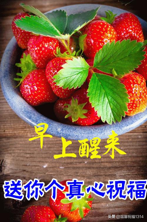 春天早晨好高级图片,春天早上好暖心祝福语图片