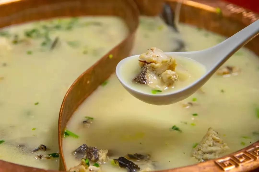 济南的春天来了吗,济南春天来了