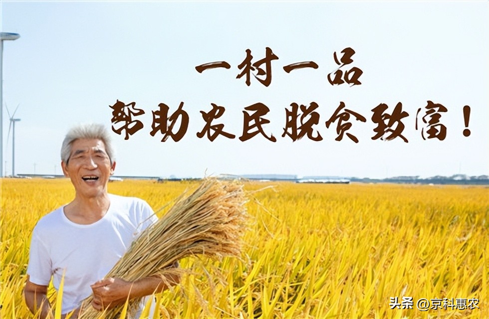 全国一村一品收入亿元村,2017年一村一品示范村镇名单