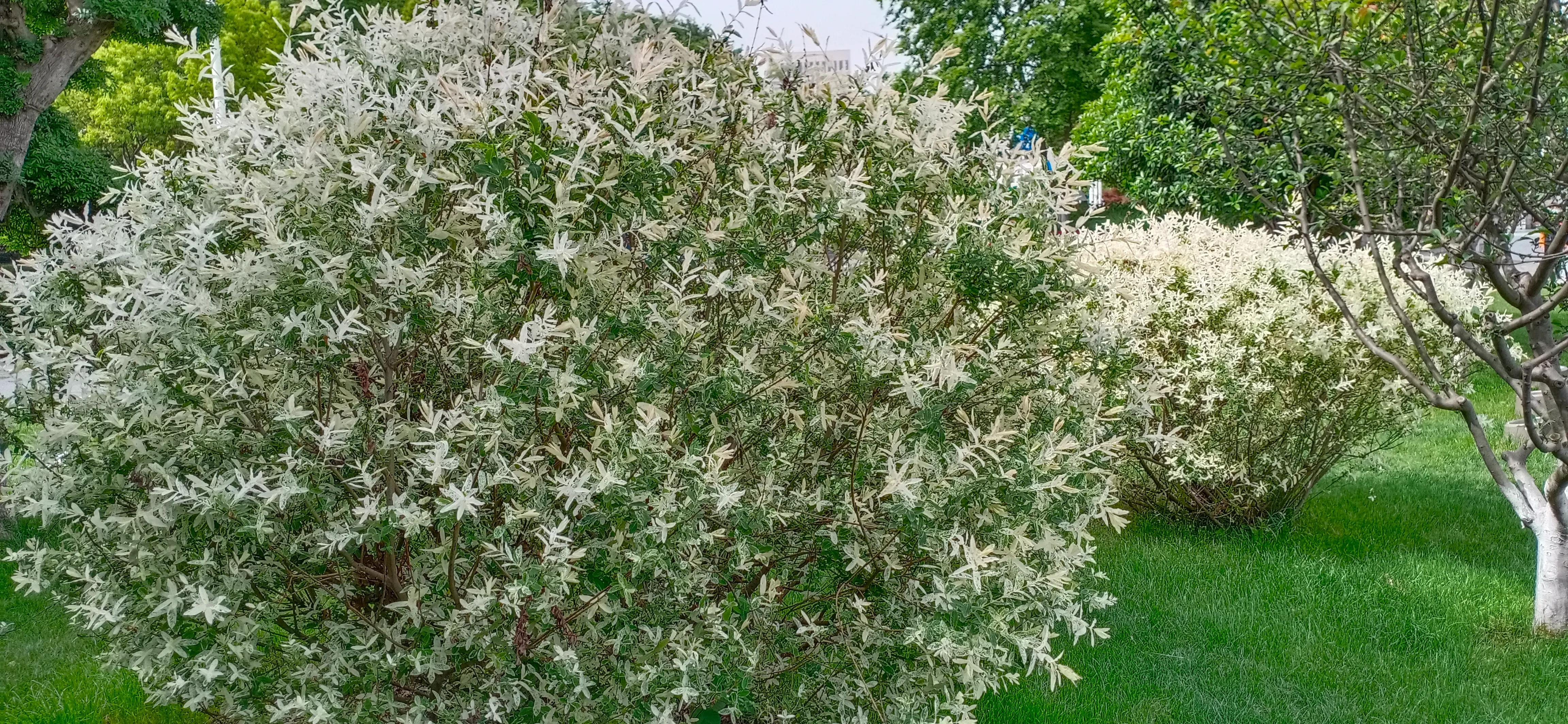 我的小男友完整版视频,我的小男友完整视频