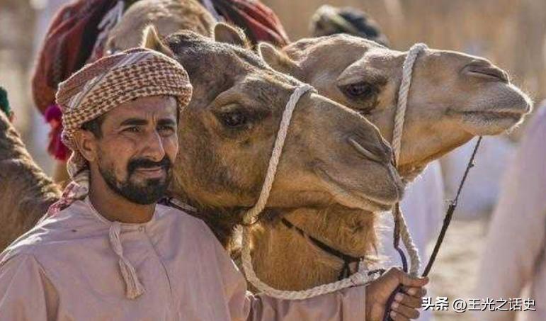 卡塔尔世界杯卡塔尔赚了多少钱,卡塔尔世界杯赚了多少钱