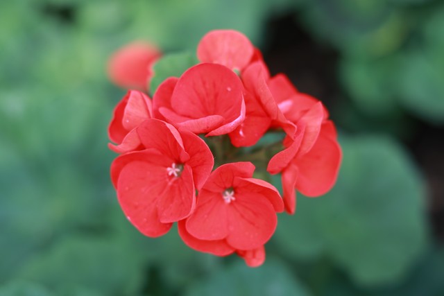 苟日新，日日新，又日新,22。做一个坚持不懈的践行者。