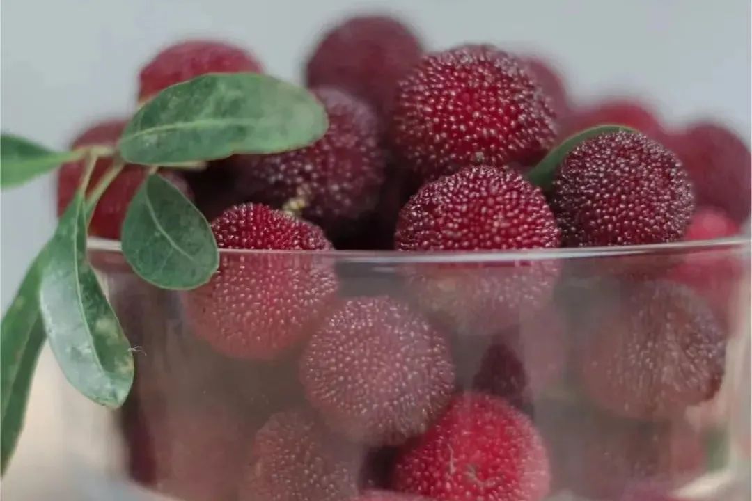 杨梅怎么吃好吃又简单,夏天杨梅的好吃法