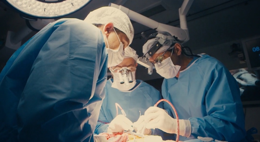 巴西连体双胞胎成功分离后续,巴西头部连体婴儿分离后续