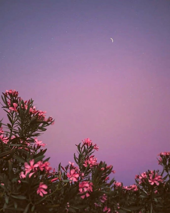 30岁前如何高效投资自己,人生投资从四十岁开始