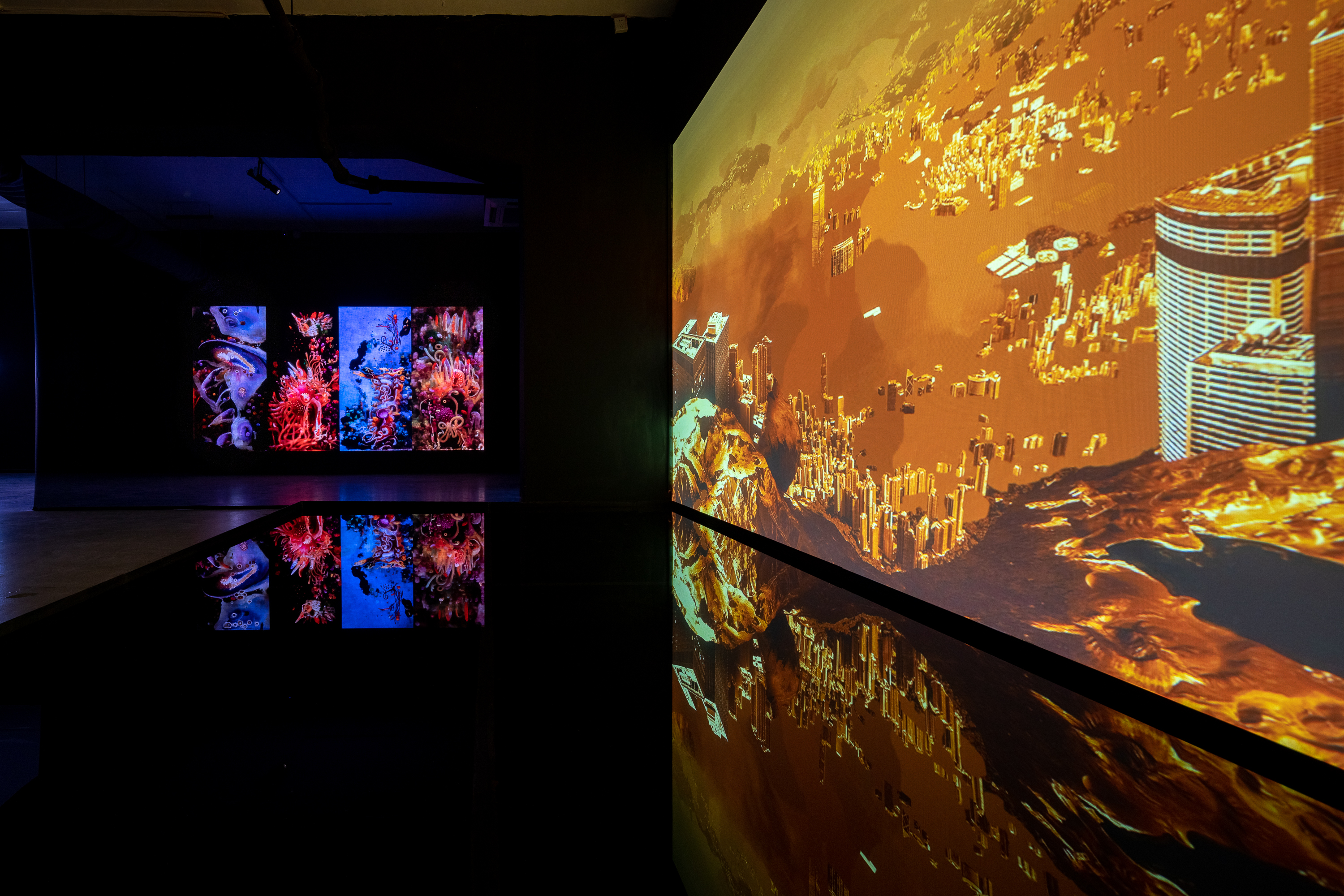 “共同的演化”——开启置身于AI时代的生命想象