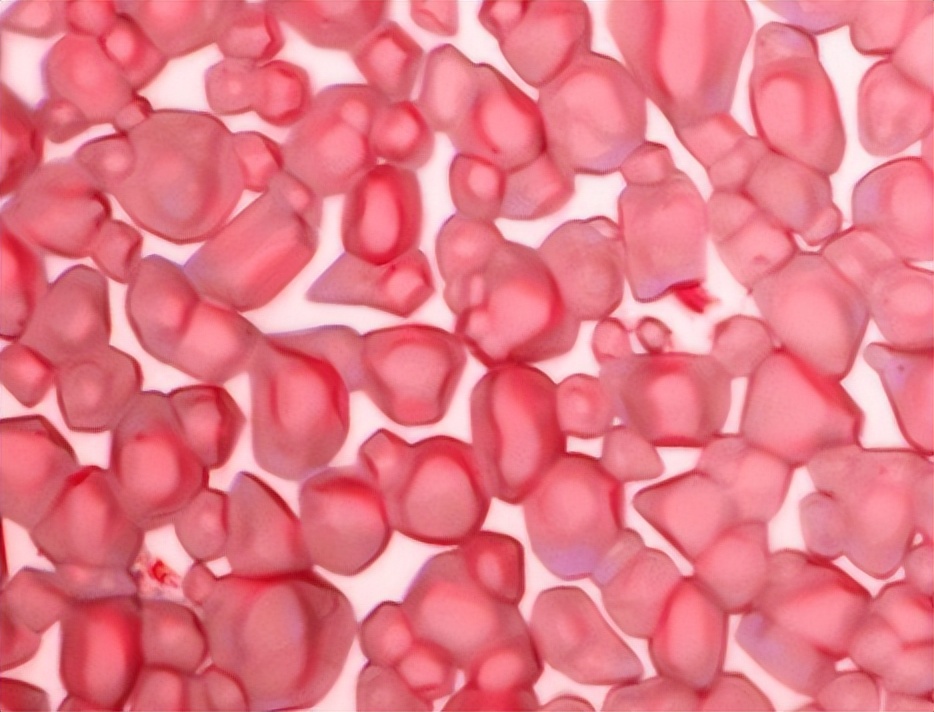 显微镜下的化学,显微镜下的世界奇妙图