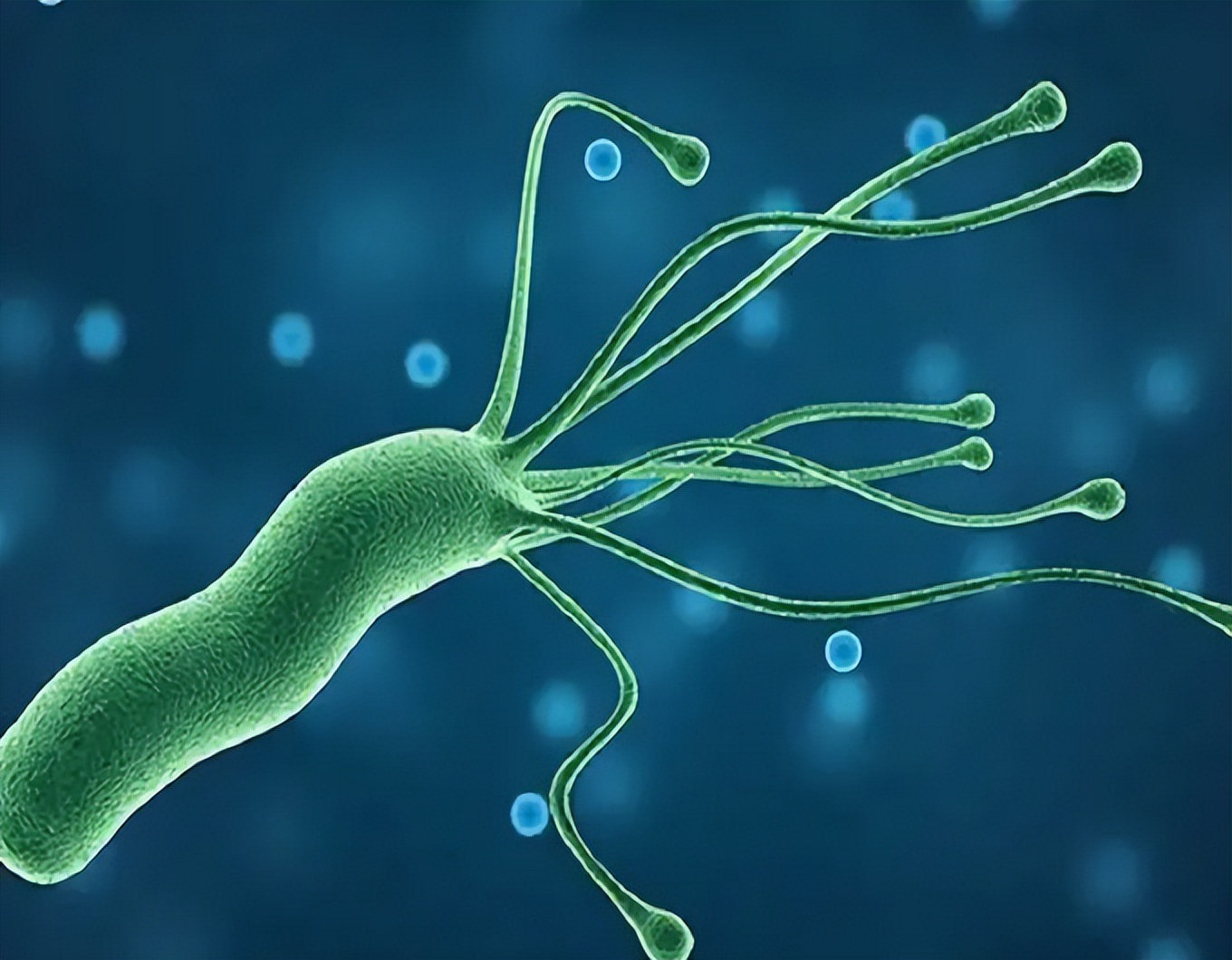 炉甘石洗剂搭配什么祛痘,炉甘石洗剂能用在哪些皮肤病