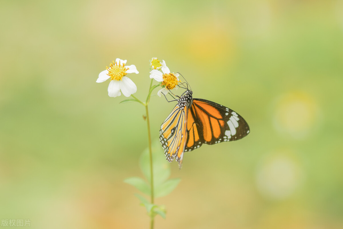 女人对你忽冷忽热是何原因,为什么女人对男人老是忽冷忽热
