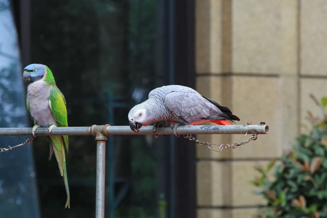 深圳必逛的批发市场,深圳值得逛的批发市场