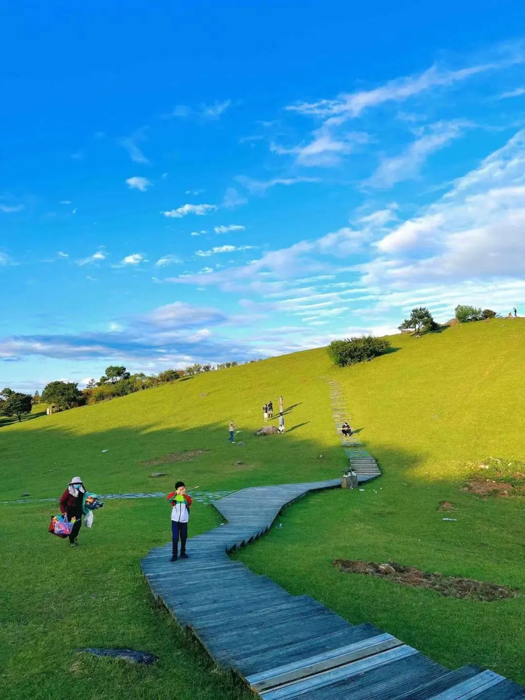 闽山闽水物华新,闽山闽水物华新在师生中引热议