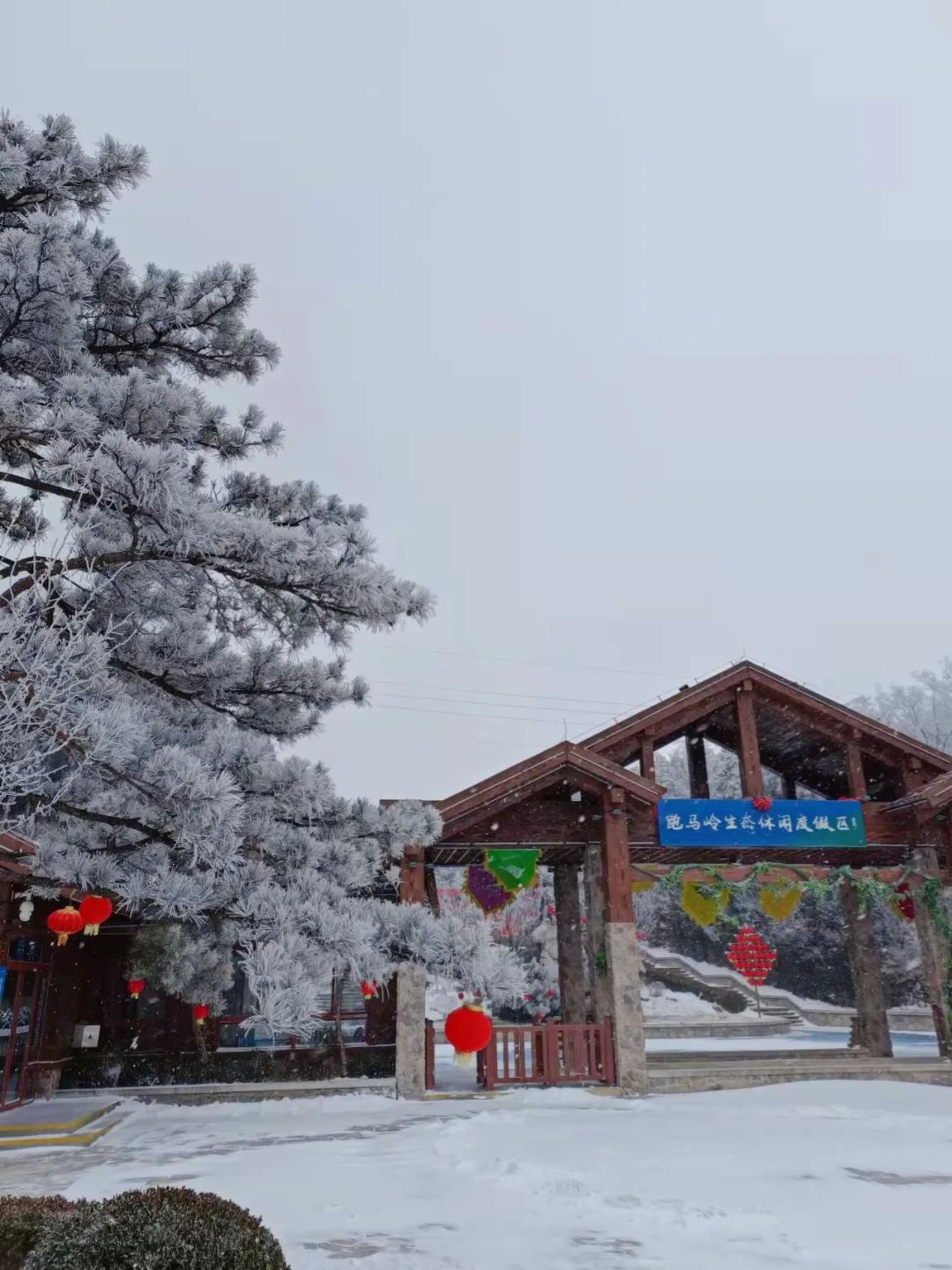 嗨玩儿假期旅业,嗨玩假期旅游