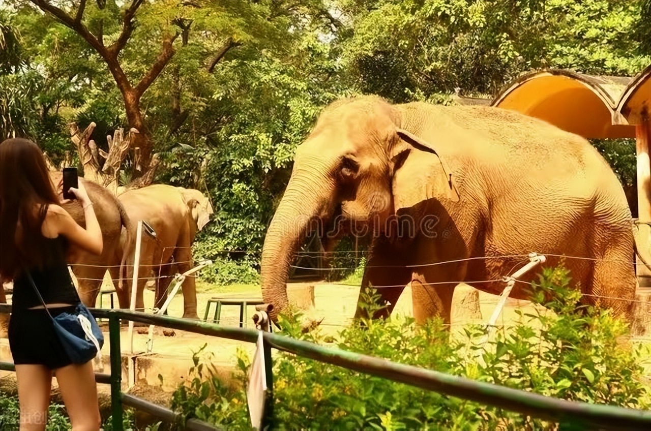神回复女生的什么行为最加分,各种神回复女生