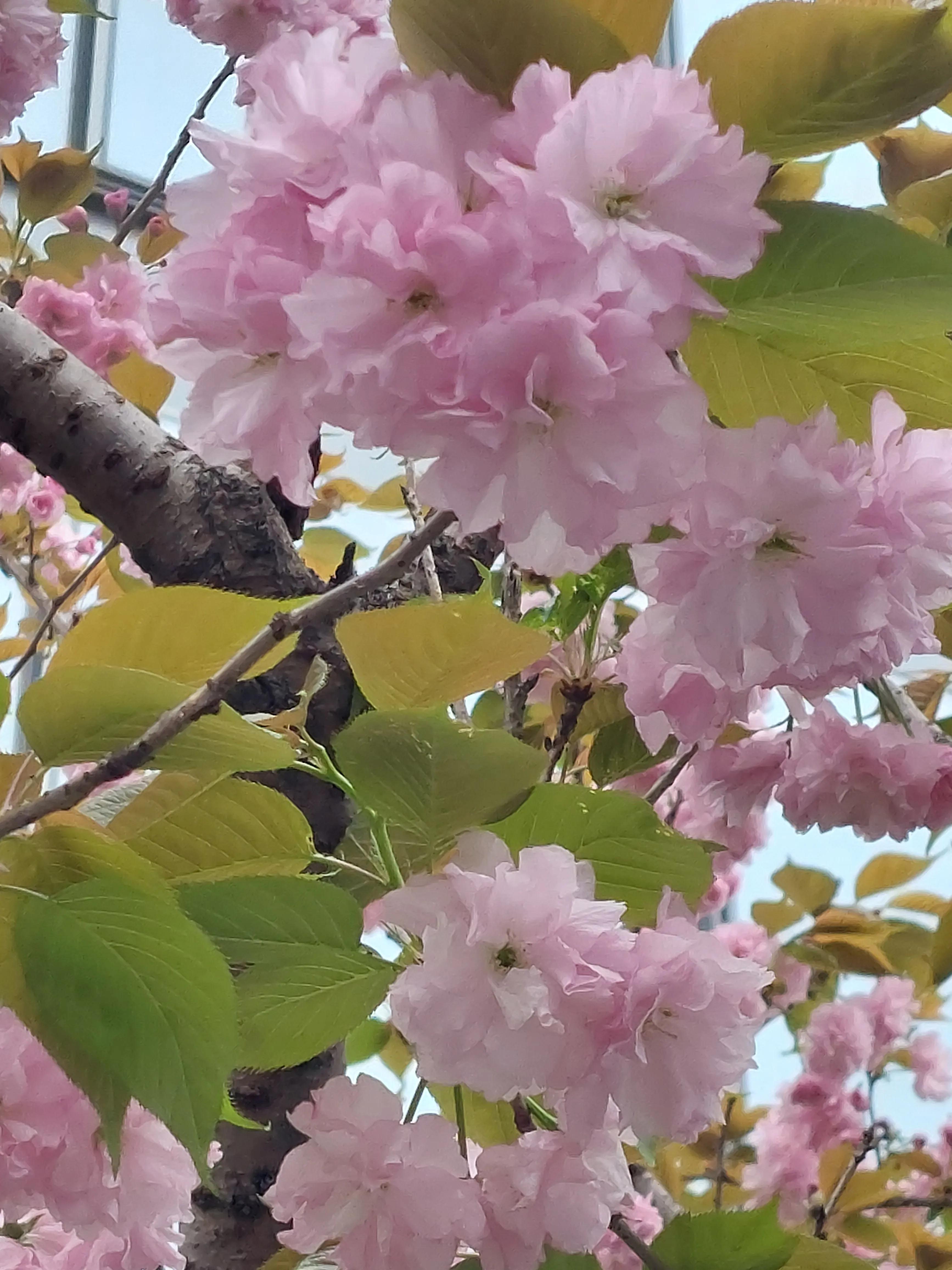 裁员后面试中问到离职原因,会计面试时被问到离职原因