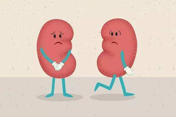 男人肾阴虚吃什么药调理,男人肾阴虚调理身体的最佳方法