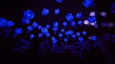 商场装置艺术制作,商场店铺空间艺术设计制作