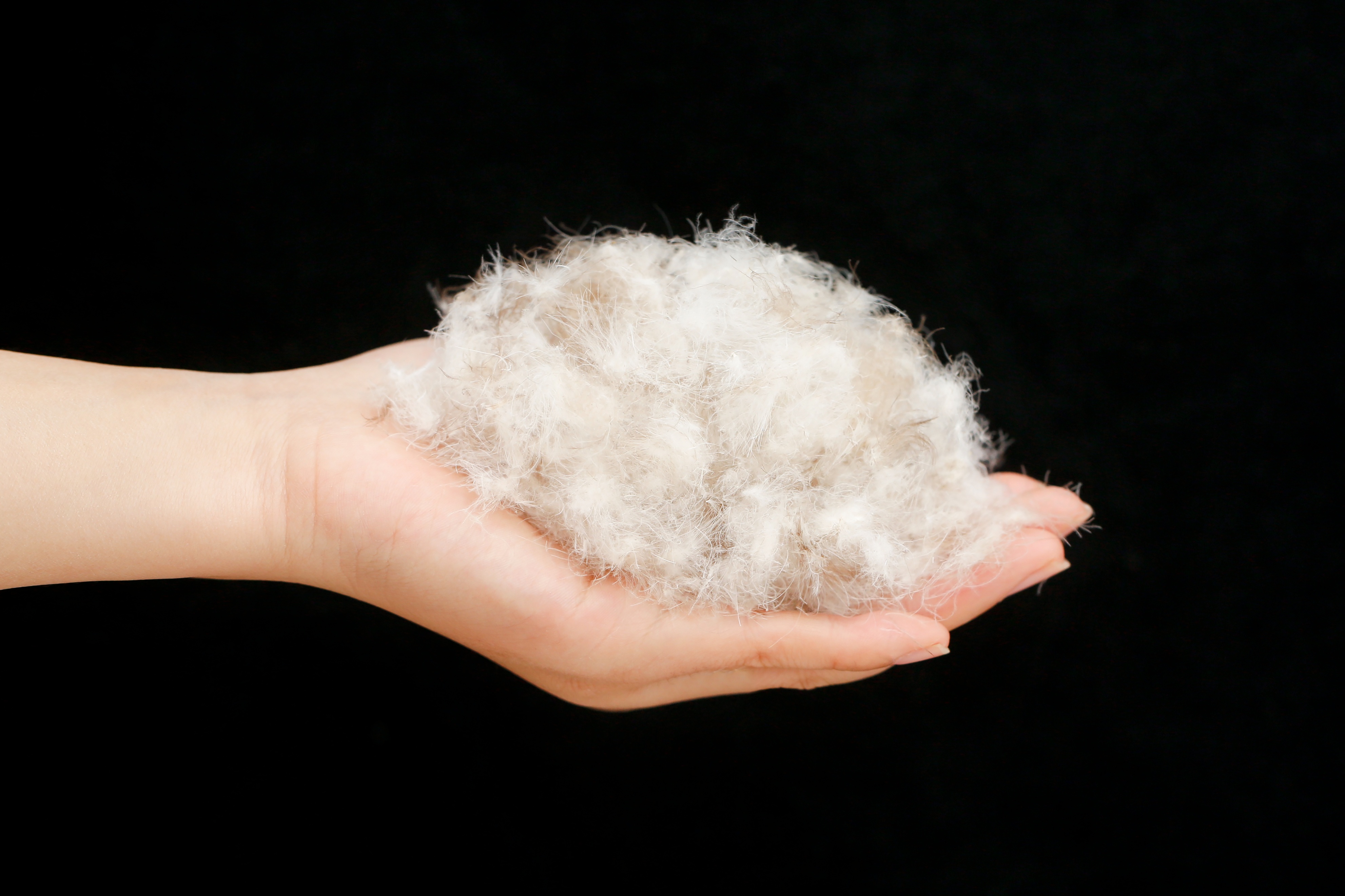 滚筒洗衣机烘干羽绒服会不会爆炸,羽绒服可以用洗衣粉洗吗会爆炸吗