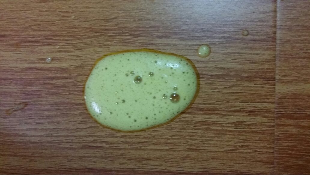 狗狗胰腺炎呕吐颜色,狗狗呕吐急救攻略分清症状能保命