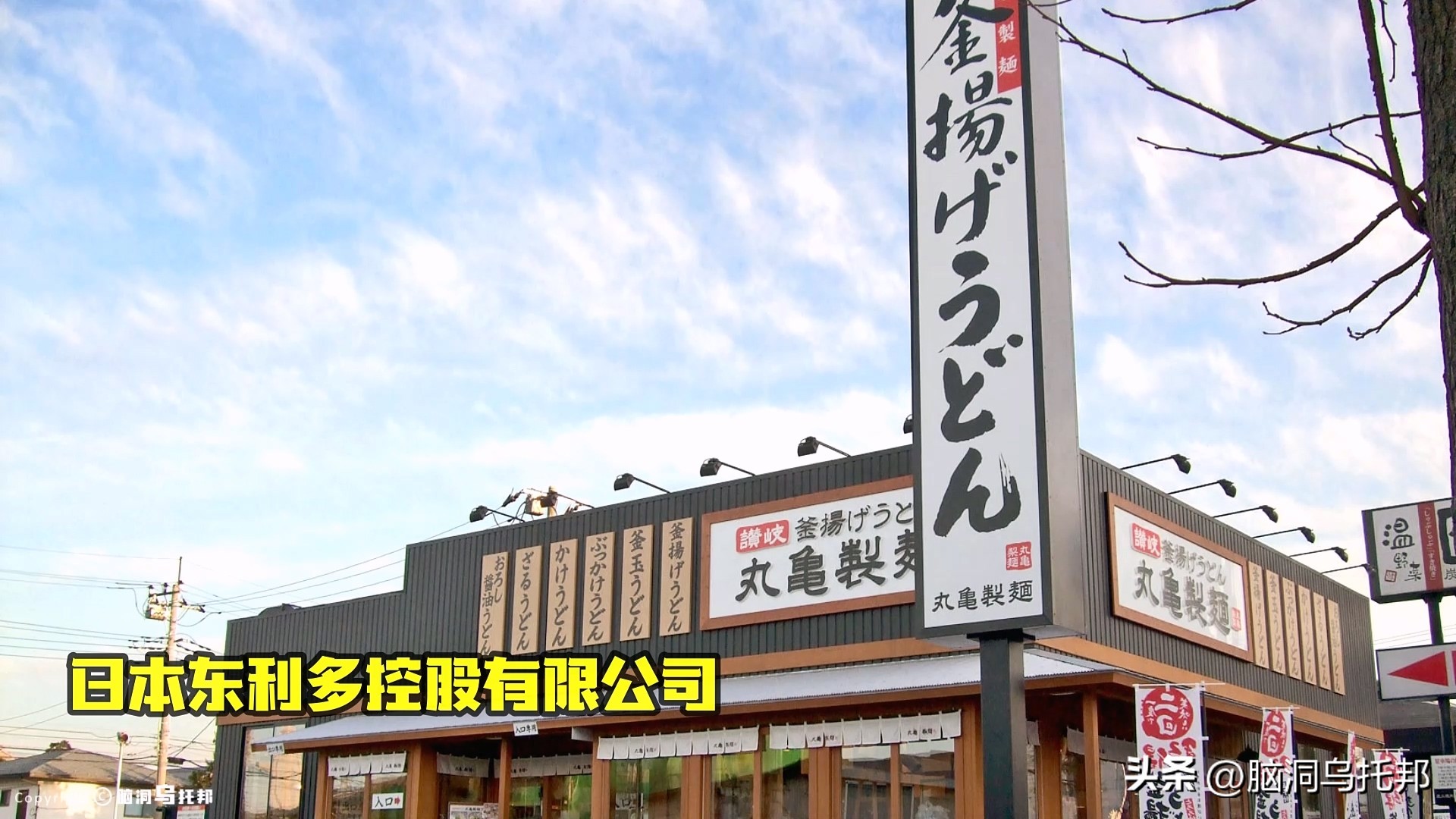 名媛碎尸案最新案情,名媛蔡天凤碎尸案细节视频