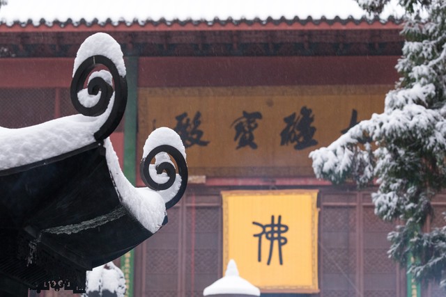 星云大师不为人知的成*学功**长袖善舞财源滚滚左右逢源