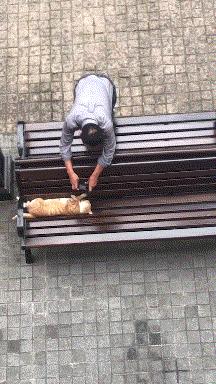 女朋友的房间里找到的工具,她说是手电筒,真以为我不懂吗?