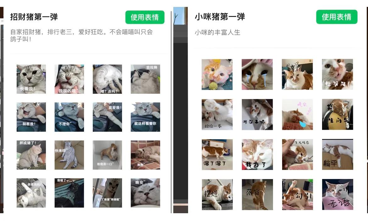 怎么自己制作表情包放到微信里,怎么制作微信表情包并且投稿