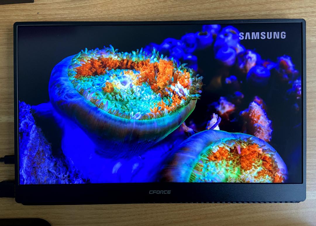 最完美nas主机,软路由小主机nas