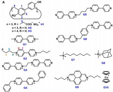 PXG/H13在非共价相互作用下，是如何有效阻止PXG反应的