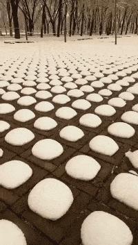 昨晚上喝多了把这个扛回了家，现在酒醒了，我该怎么办？