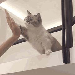 孕妇半夜腿抽筋是受凉还是缺钙,半夜缺钙脚抽筋怎么办