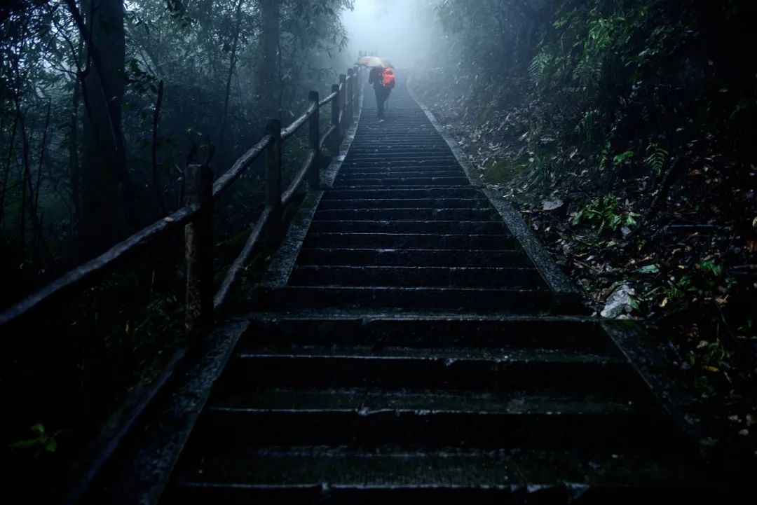 不上峨眉山自驾一日游最佳攻略,峨眉山全程不用步行攻略