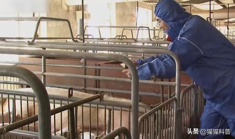 那些奇葩挣钱的项目,盘点奇葩副业