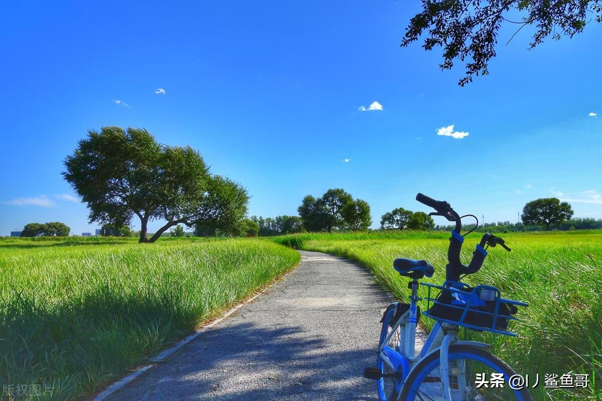 内蒙古包头市最美景点,包头市区旅游攻略必玩的景点