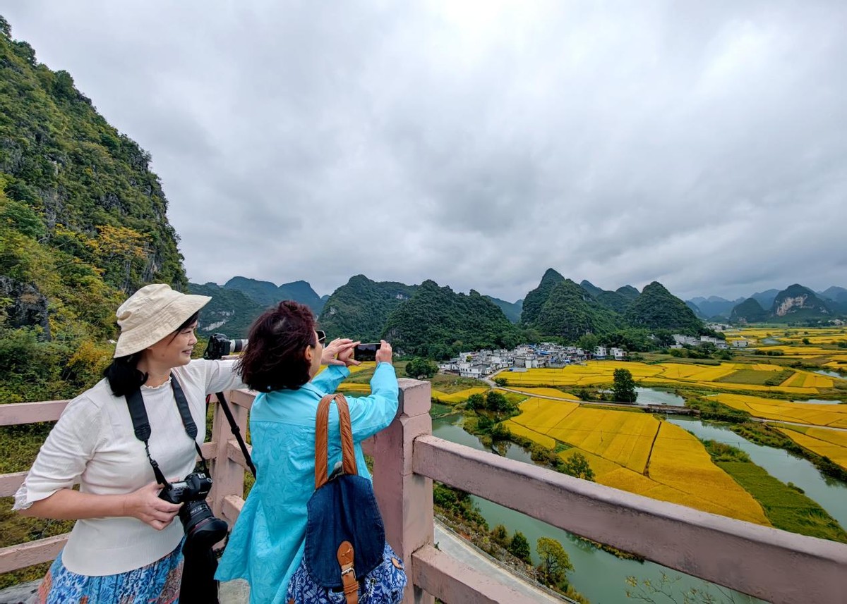 “天等”秋色也等你