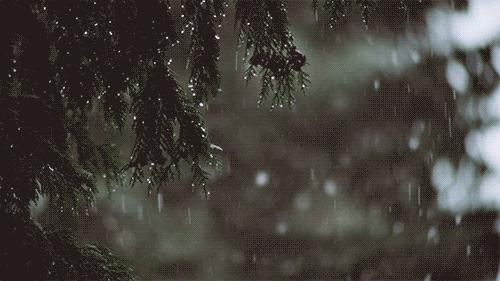 雪雨夹雪内蒙古迎大风降温,雪阵风7级降温