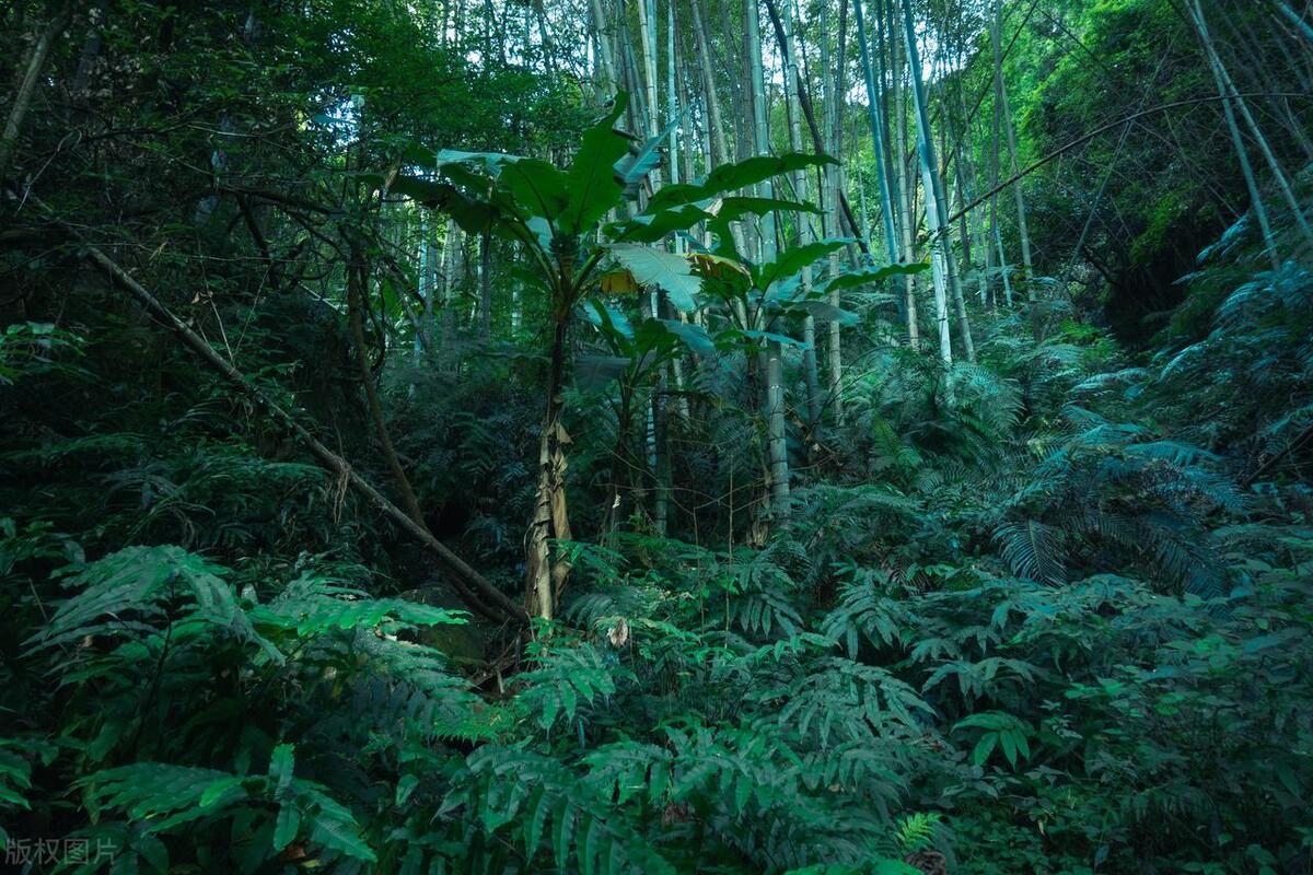 小孩误服农药中毒身亡,父亲百草枯中毒后续