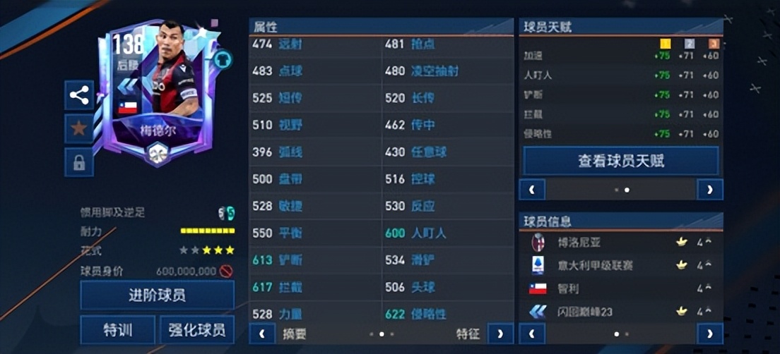 fifa足球世界最漂亮的一套卡阵容,fifa足球世界巅峰阵容