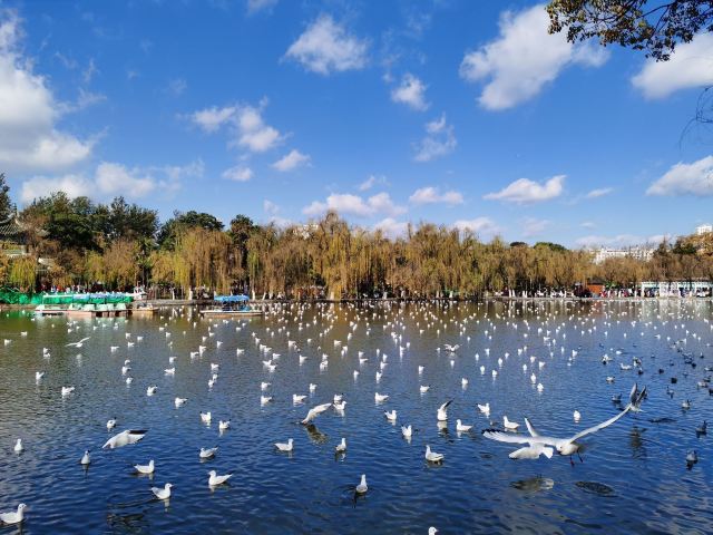 云南旅游攻略昆明旅游攻略,云南昆明旅游攻略