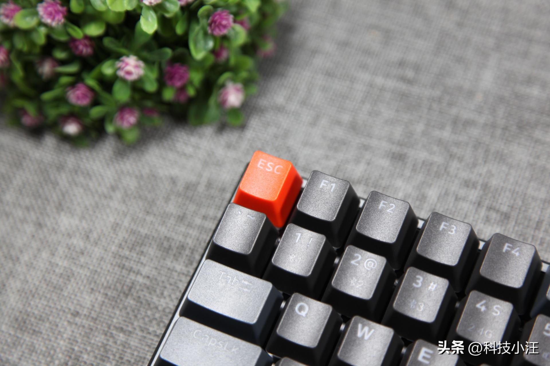 雷柏机械键盘v700键位图,雷柏V700-8A多模机械键盘