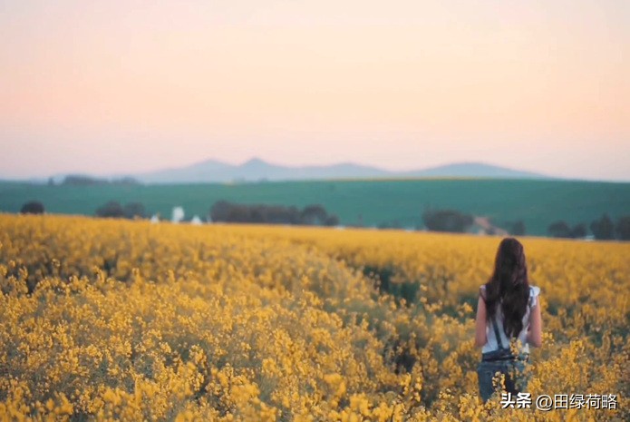 低调做人高调做事不要炫耀的句子,做人一定要低调不要拿自己来炫耀