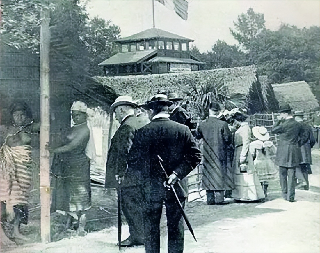 人类被动物当成宠物养在笼子里,把人类当作宠物关在笼子里