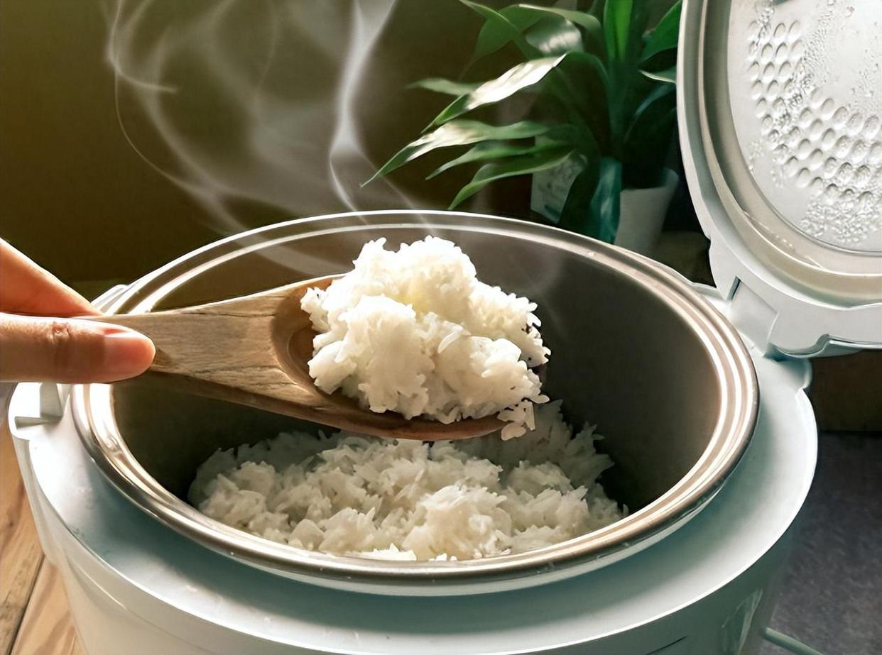 苏泊尔电饭煲哪种好性价比高,苏泊尔电饭煲哪款性价比高实用