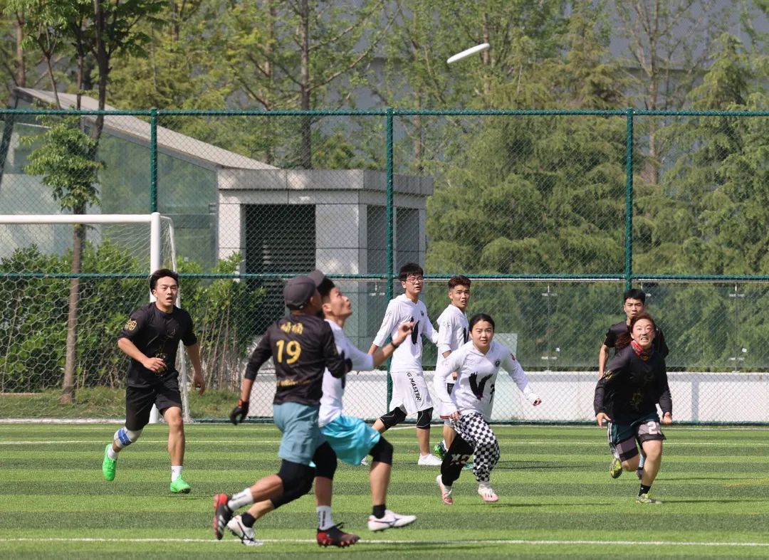 足球场内飞盘场外踢足球,足球场内飞盘与狗