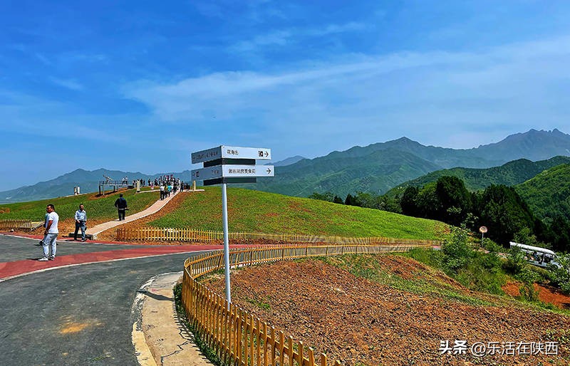 蓝田荞麦花海和高山草甸,西安荞麦花海旅游