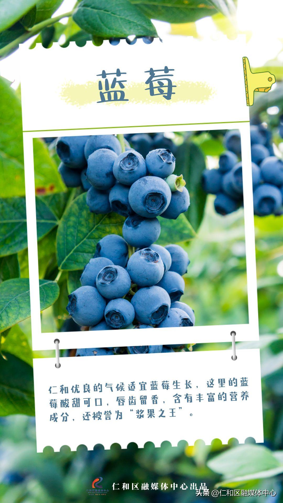 超甜的热带水果有哪些,好看好吃又不常见的水果