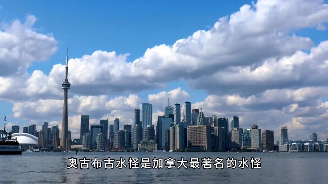 世界五大水怪是真是假,盘点世界十大水怪