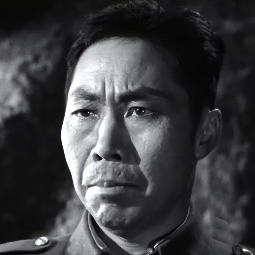 关于革命的小说红日简介,长篇小说红日沈振新的原型是谁