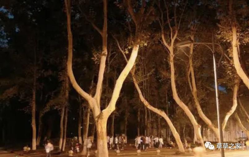 与英文的爱恨情仇,我与英语的不解之缘