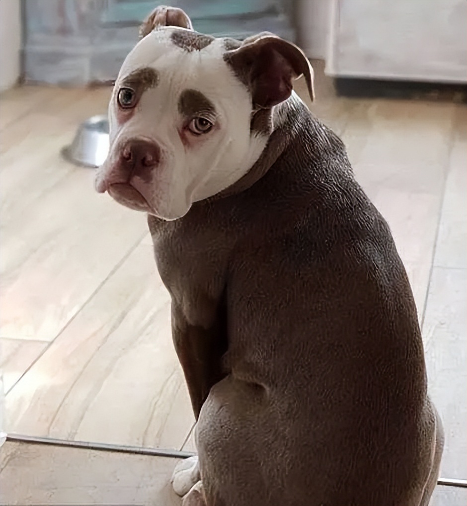 盘点6种不可思议的“异食癖”,盘点十种奇怪的异食癖