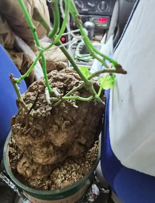 这摄影师是个抓拍鬼才|冷段子2068